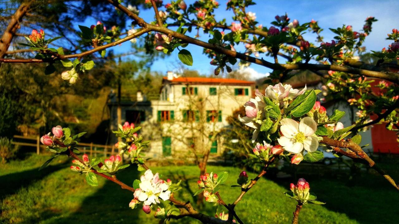 Tre Ponti Bed & Breakfast Castiglione Chiavarese Eksteriør bilde